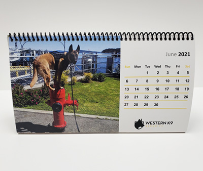 dog-calendar-fire-hydrant4